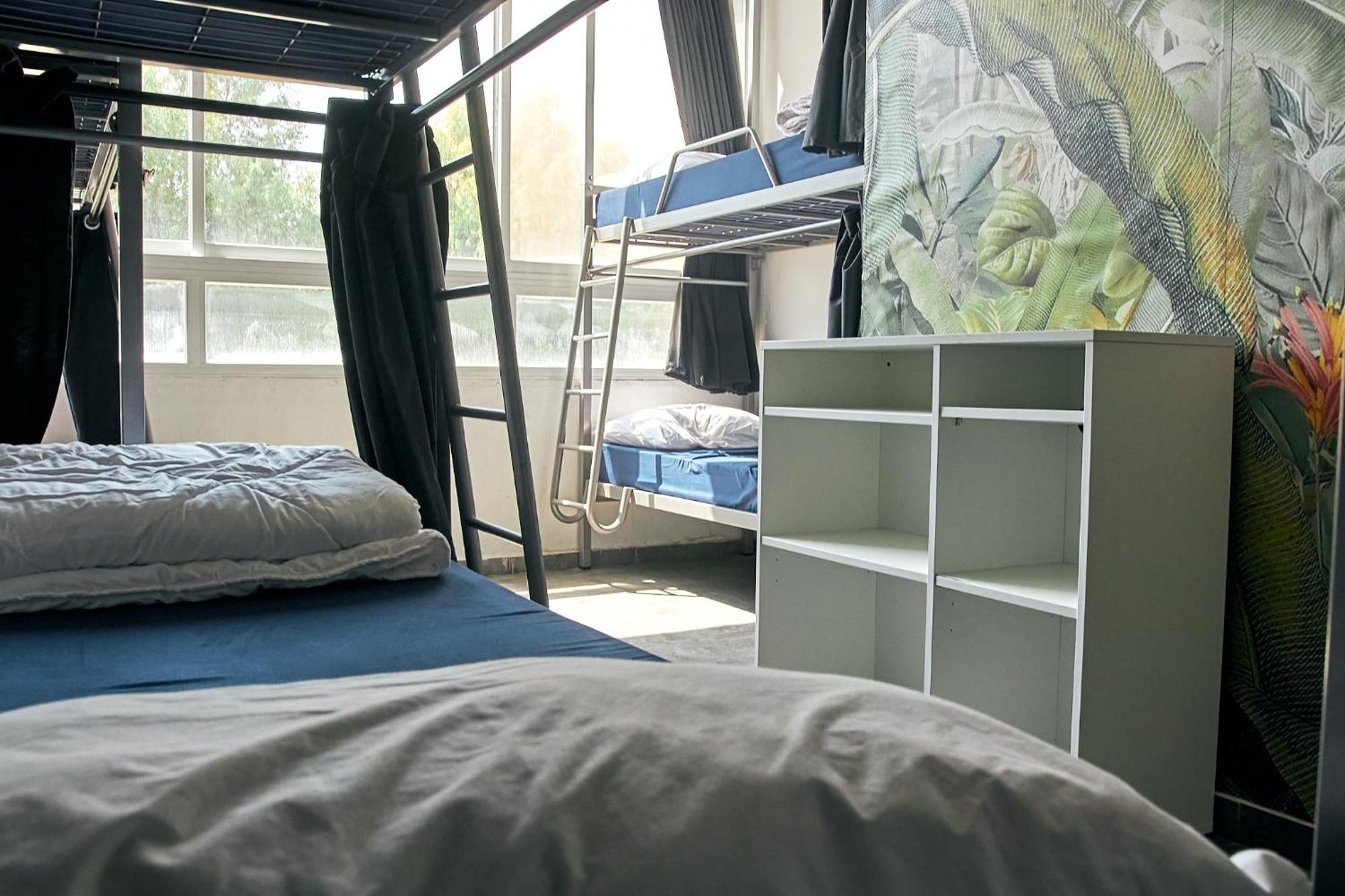 Jungle Jaffa Hostel Age 18 To 45 Тель-Авів Екстер'єр фото